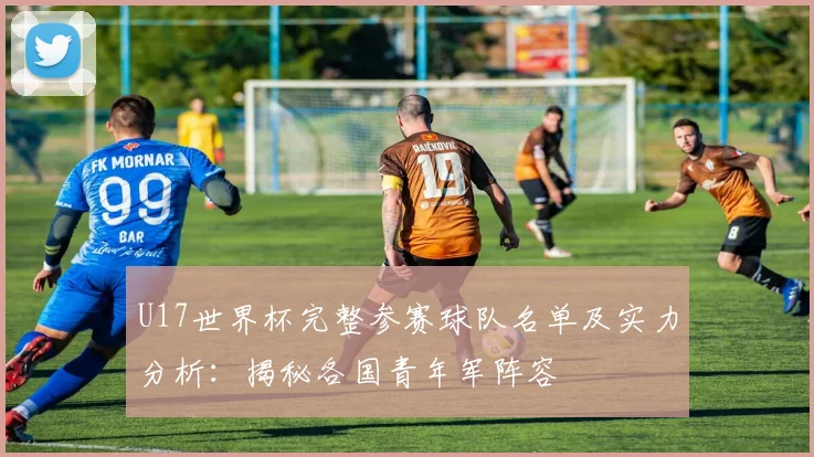 U17世界杯完整参赛球队名单及实力分析：揭秘各国青年军阵容